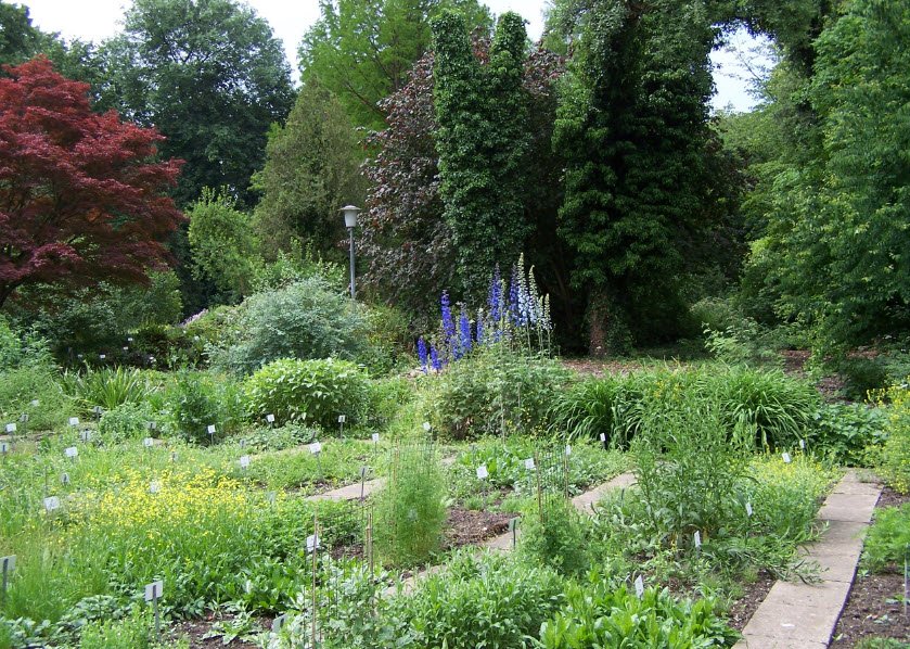 Old Botanical Garden of Göttingen University, Göttingen, Germany, Germany